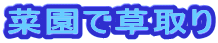 ؉ő